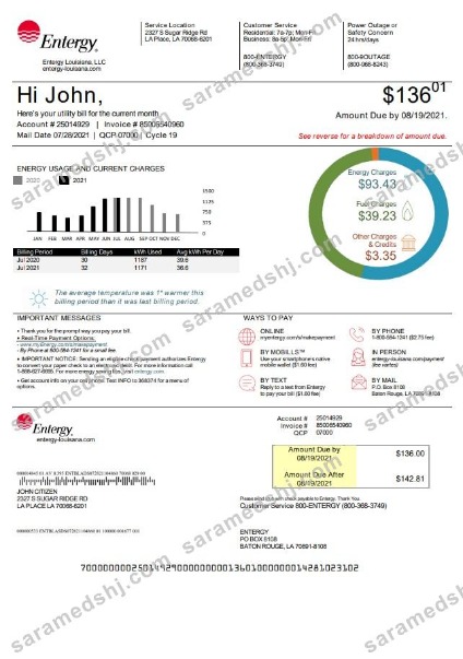 USA Louisiana Entergy utility bill template in Word and PDF format, version 2